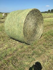 Alfalfa/timothy hay for sale